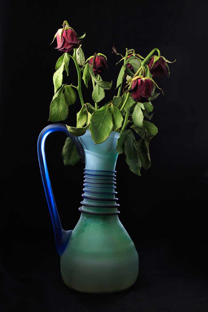 Roses fanées dans un vase